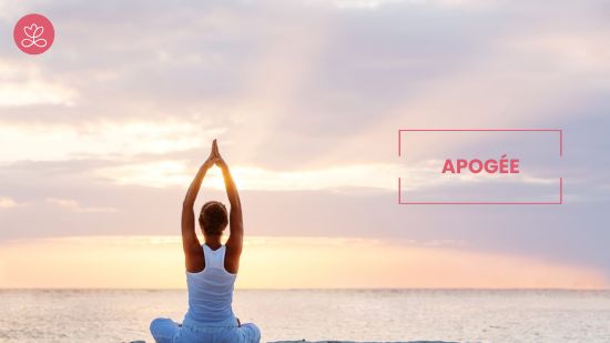 Apogée